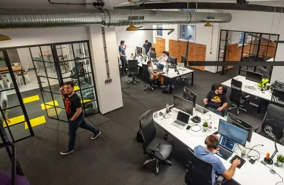 web developers in office