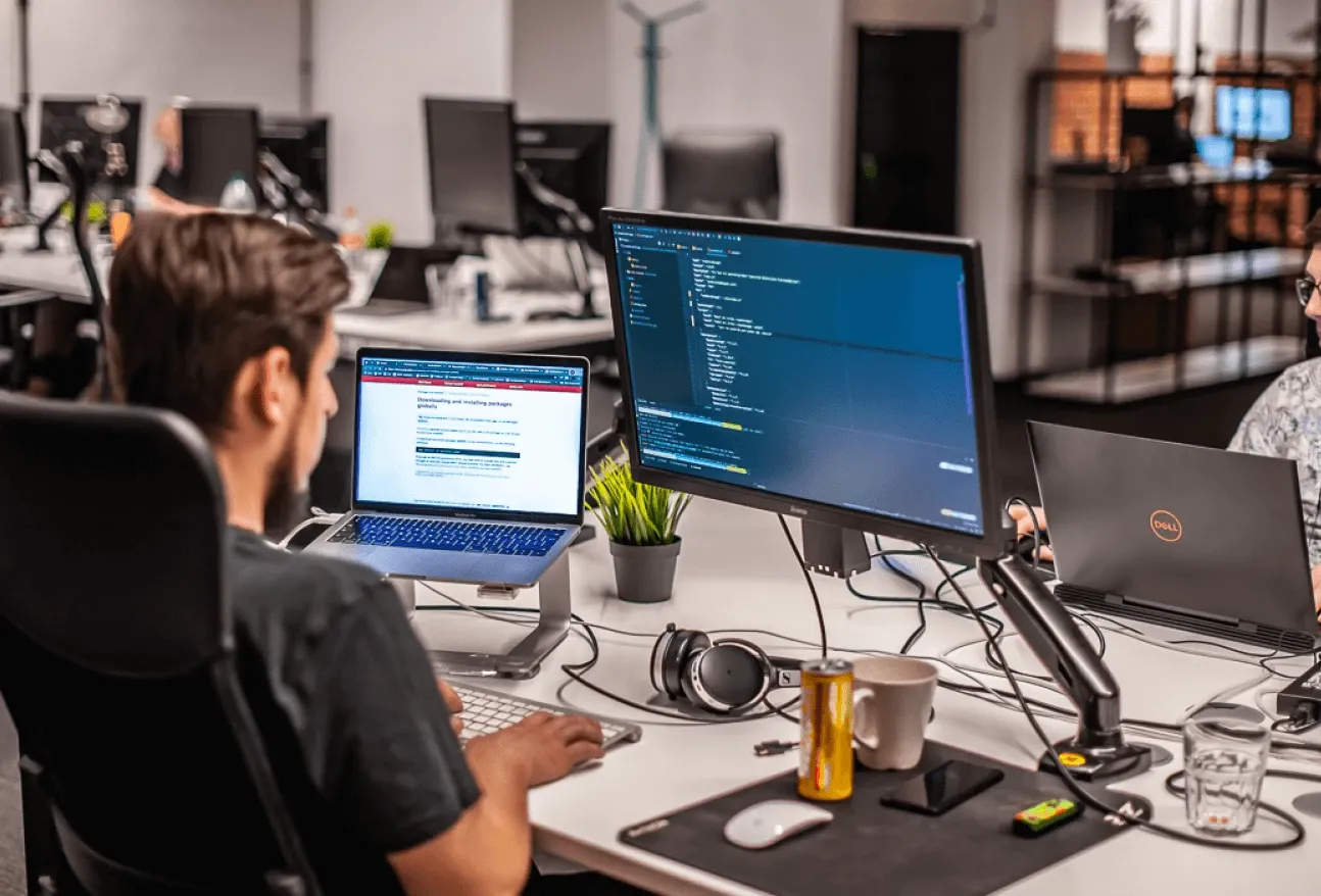 developer in work