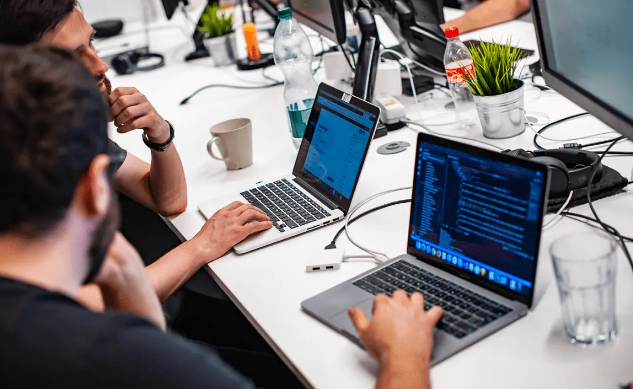 website developers